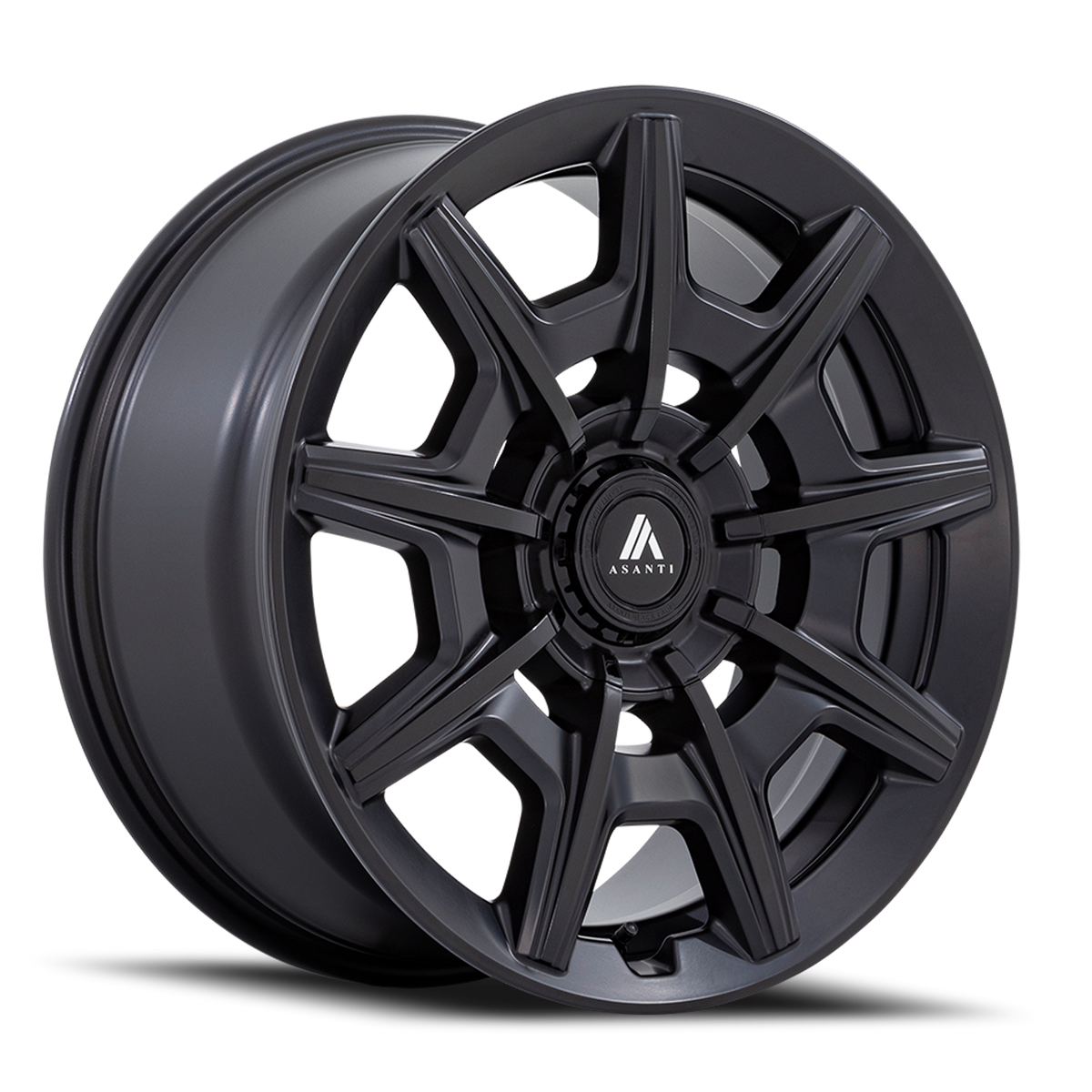 Asanti Black Label Esquire 22x9 107.95