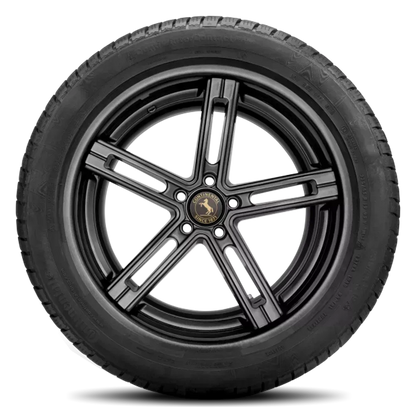 Continental WINTERCONTACT TS 830 P 255/40R18