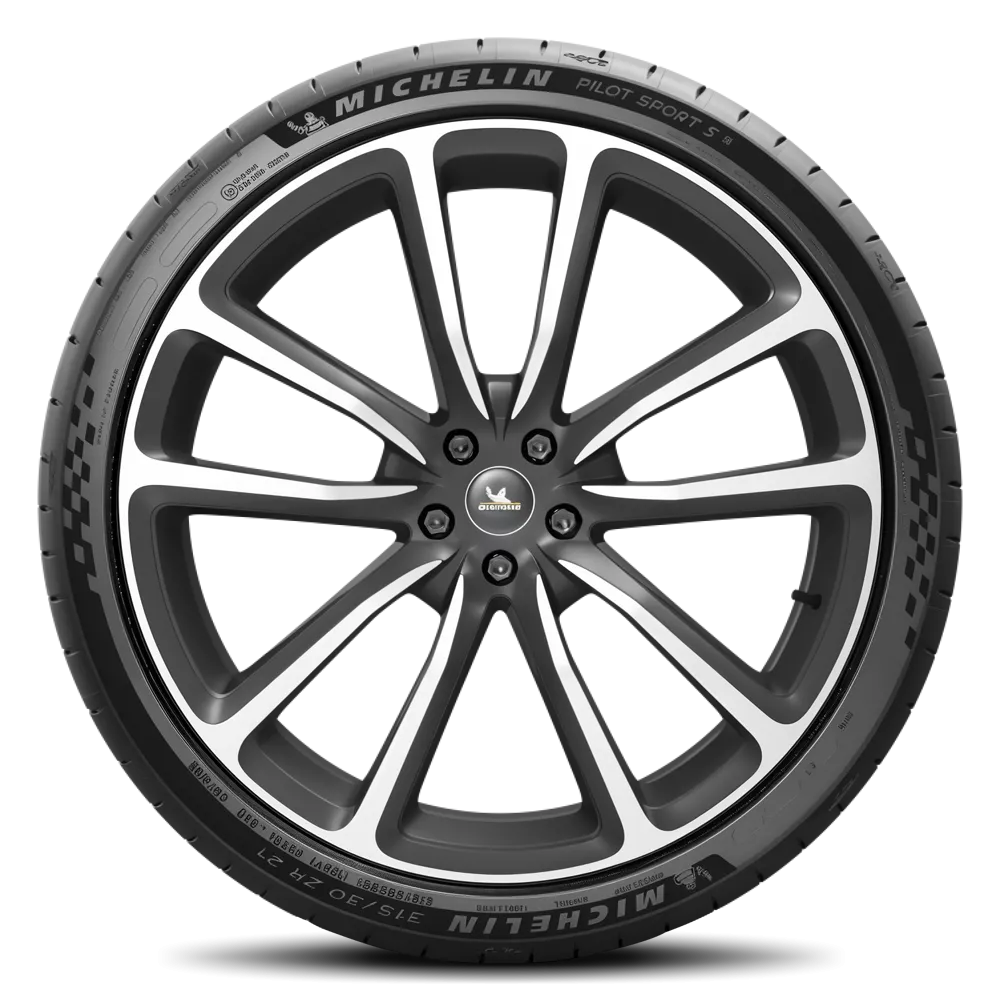 Michelin PILOT SPORT S 5 295/30R21