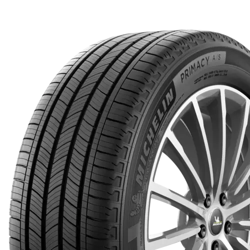 Michelin E PRIMACY A/S MAT 255/45R19