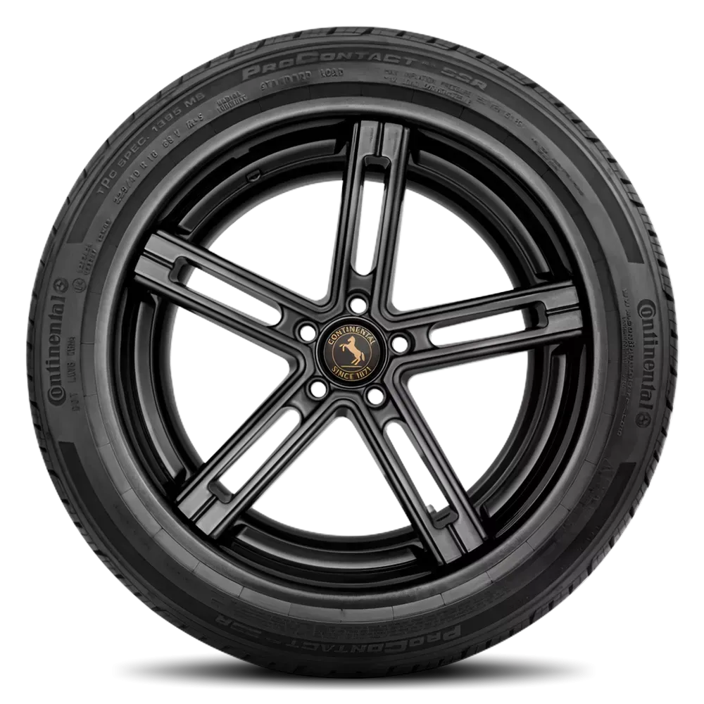 Continental PROCONTACT RX SIL 255/45R19